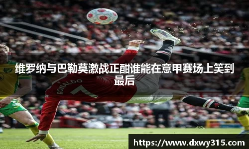 维罗纳与巴勒莫激战正酣谁能在意甲赛场上笑到最后