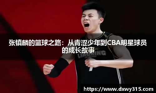 B体育bsports