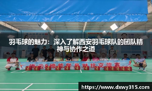 羽毛球的魅力：深入了解西安羽毛球队的团队精神与协作之道